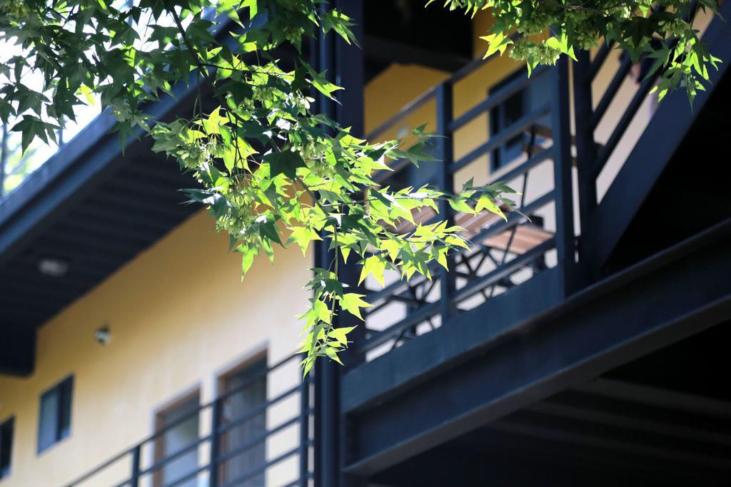 達芭凱民宿 Tabakai B&B Xinyi Dış mekan fotoğraf